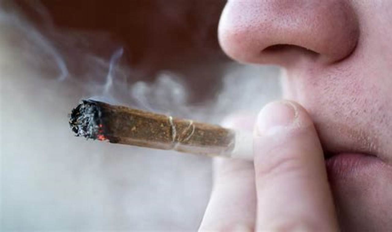 Unveiling the Secrets of Smoking Kratom: A Comprehensive Guide to Benefits and Risks