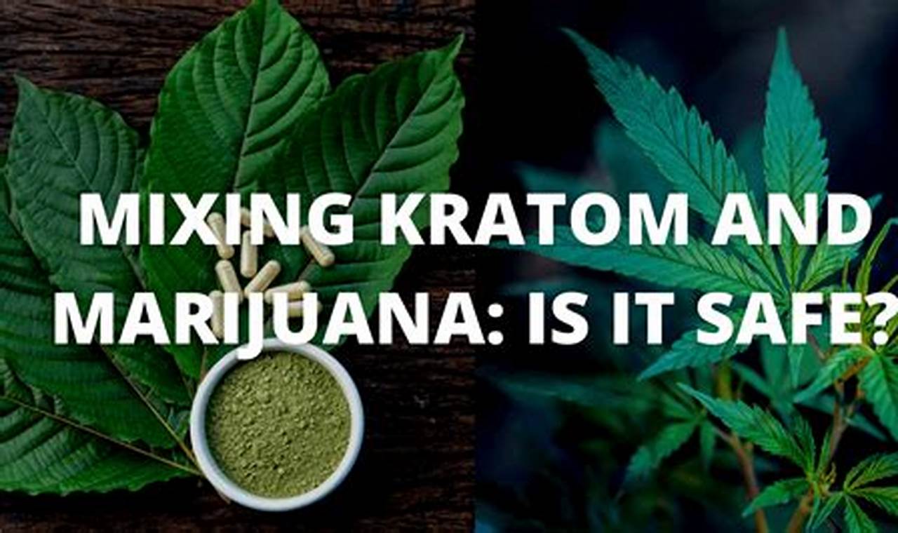 Unveiling the Mysteries of Kratom and Weed: Discoveries and Insights You Can't Resist