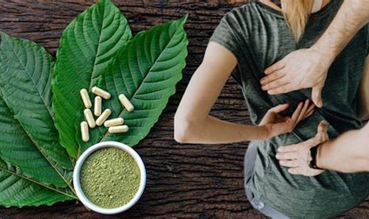 Unveiling the Potential of Kratom for Back Pain: Discoveries and Insights