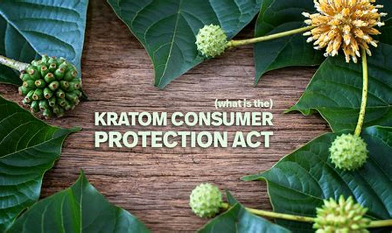 Unveiling the Kratom Consumer Protection Act: A Comprehensive Guide to Safe Kratom Consumption