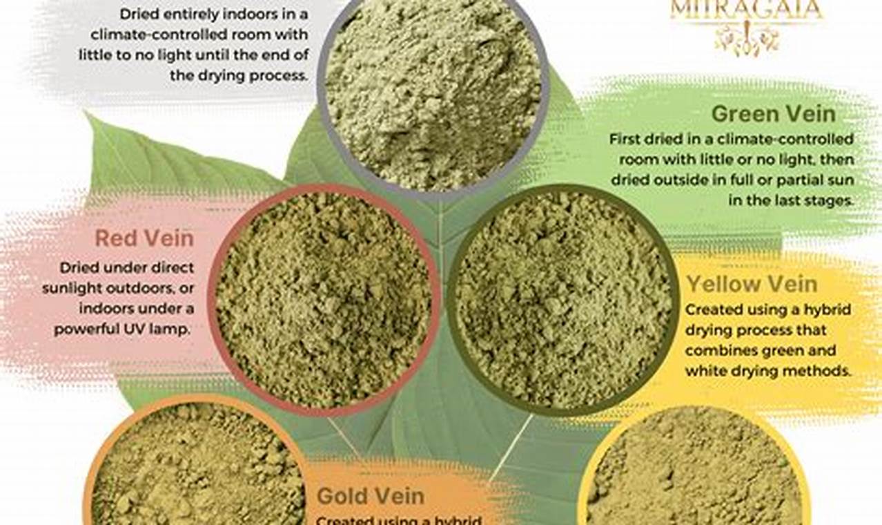 Unlock the Secrets of White Kratom Strains: Discoveries and Insights Await